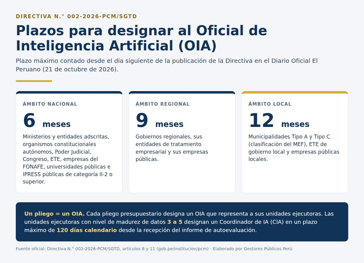 Infografía con los plazos de 6, 9 y 12 meses para designar al Oficial de Inteligencia Artificial en el ámbito nacional, regional y local